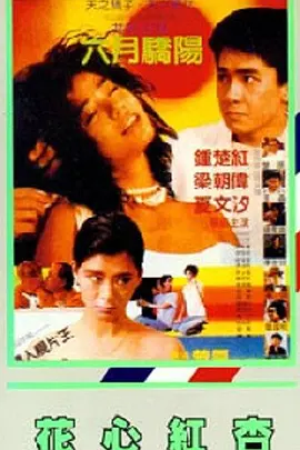 亚洲欧美激情精品一区二区